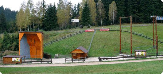 Šedý Vlk